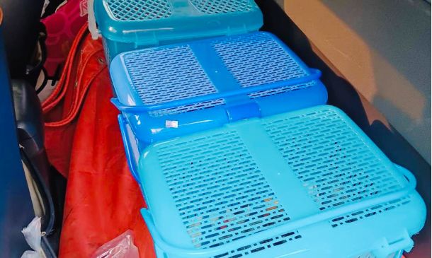 บริการรับฝากส่ง สัตว์เลี้ยง